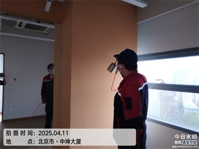 植物可以吸收裝修污染嗎